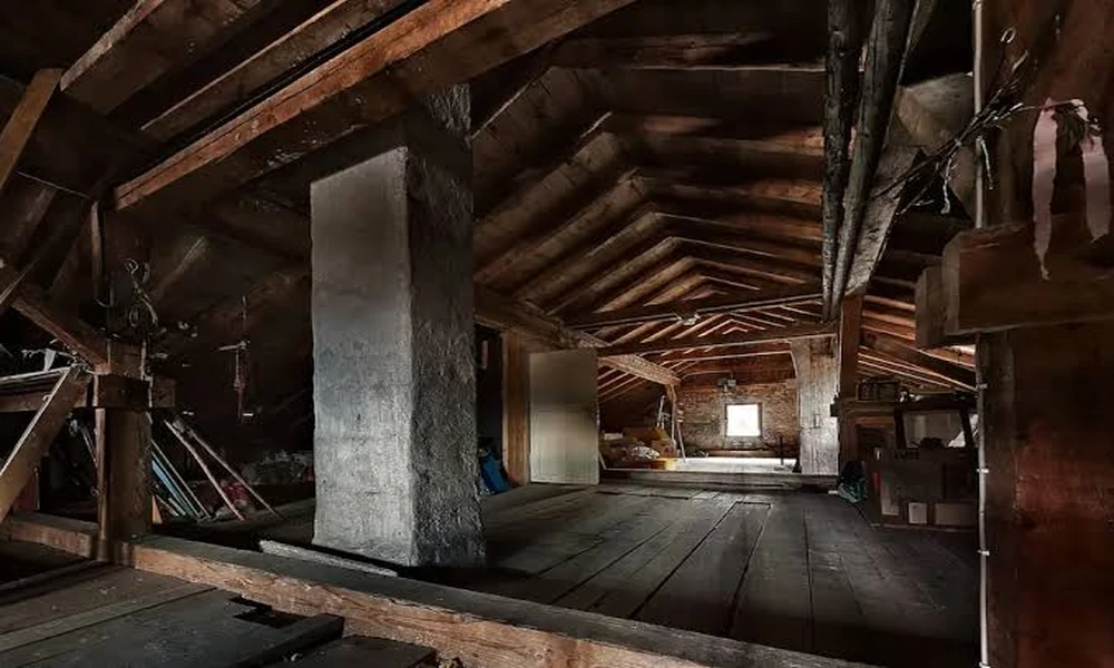 10 Sounds in Your Attic and What’s Probably Making Them: A Kansas City Pest Control Guide